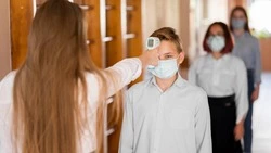 Две школы в Макаровском районе закрыли на карантин