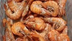 Сахалин ожидает введение ограничений на промысел креветок в 2025 году