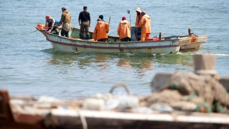 На востоке Сахалина одобрили места лова лососевых