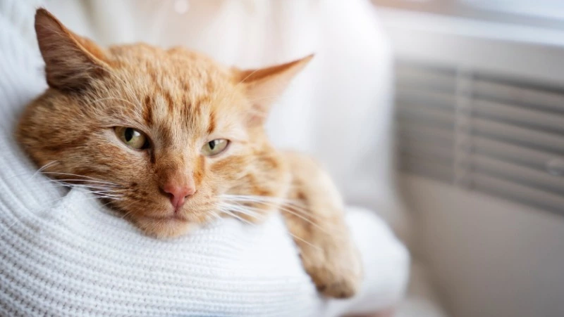 Без горячей воды и тепла остались еще несколько улиц Южно-Сахалинска 21 января