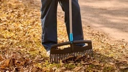 Компания, управляющая парком имени Гагарина в Южно-Сахалинске, задолжала рабочим-иностранцам