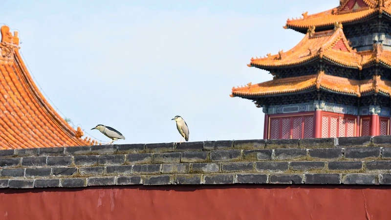 В Сахалинской области общая «Ночь музеев» пройдет в виртуальном режиме