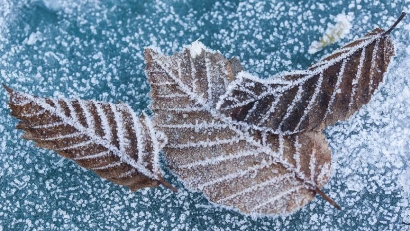 Прогноз погоды на Сахалине и Курилах на 9 февраля