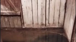 Жители многоквартирного дома в Южно-Сахалинске пожаловались на затопление канализационными стоками 