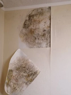 Текущие стены и крышу в домах Невельска и Южно-Сахалинска проверит прокуратура