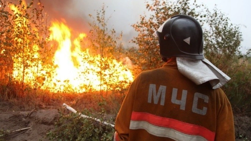 Спасатели потушили сухую траву в районе озера Тауро в Углегорском районе 9 апреля