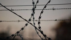 Наркоман украл циркулярную пилу из магазина на Сахалине