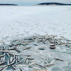 «Клюет как с пулемета»: озеро Изменчивое радует сахалинских рыбаков уловом