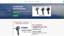 Фейковый интернет-магазин лодочных моторов разоблачили жители Сахалина
