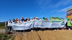 Жители Сахалина высадили 600 саженцев лиственницы для лесоклиматического проекта