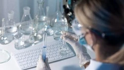 Сахалинский минтай безопасен: исследователи провели более 600 проб 