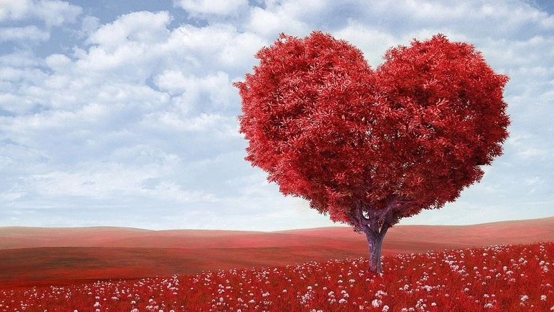 Сахалин оказался в пятерке российских лидеров по количеству влюбленных