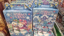 Более трех тысяч детей из малоимущих семей на Сахалине получат новогодние подарки