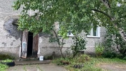 «Сильно наклонилась»: южносахалинцы оставили жалобу на представляющую угрозу березу