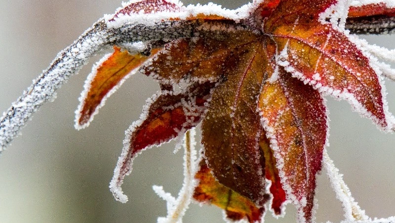 Морозная погода и ветер ожидаются в Сахалинской области 16 февраля 