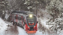 Движение пригородного поезда на юге Сахалина приостановили