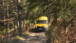 Шефство над любимым родником. Дети помогают природе. Перекресток жизни 21.11.22