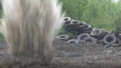 Военнослужащие и добровольцы на Сахалине освоили метание боевых гранат 