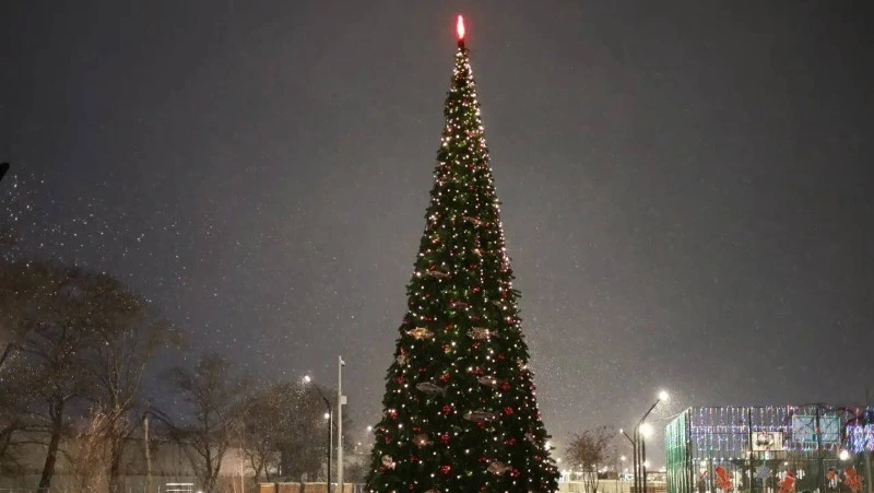 В Корсакове появилась уникальная «рыбная» елка