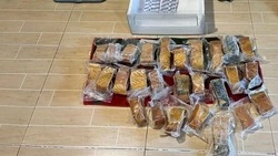 Сахалинец попал под следствие за покупку и хранение краснокнижной рыбы