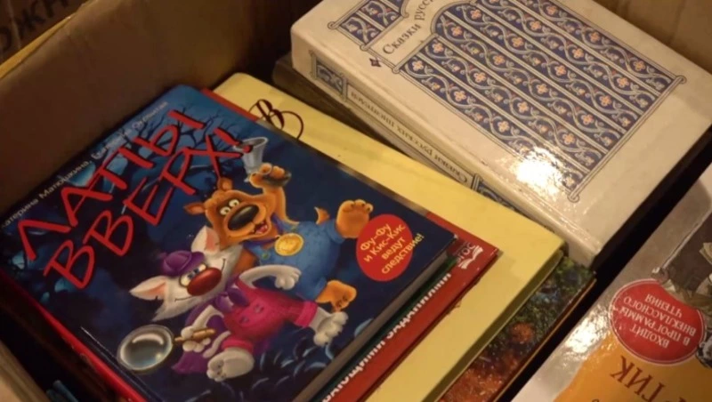 Жители Сахалина собрали книги для детей из новых регионов России