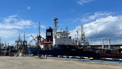 Россельхознадзор оформил на экспорт более 17 тысяч тонн рыбы в Приморье и на Сахалине