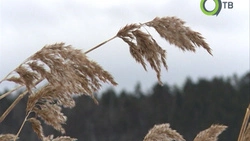 На страже общего наследия