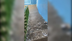 Женщину с собаками чудом не прибило куском лестницы на юге Сахалина