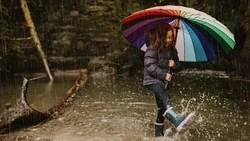 Прогноз погоды на Сахалине и Курилах 16 октября: дождь, туман и ветер