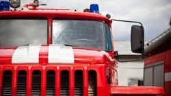 Приют с собаками загорелся в Углегорске