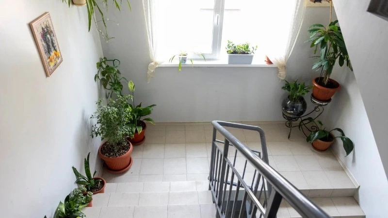 Лучшие подъезды выберут на Сахалине и Курилах