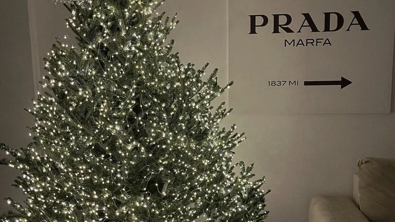 «Вот это лакшери-сервис!»: модные елки из Европы «поездом» везут на Сахалин