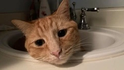 Авария на сетях оставила шесть улиц Южно-Сахалинска без воды 30 декабря