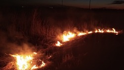Пожарные оперативно ликвидировали возгорание травы в Томаринском районе