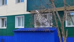 Войну старому дереву объявили жители Поронайска