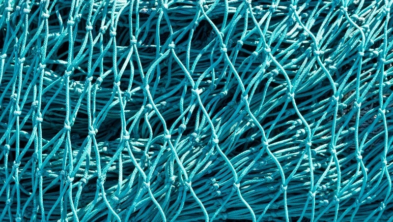 Двое сахалинцев заплатили штрафы по 100 тысяч рублей за вылов 15 хвостов симы