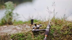 Промысел симы на северо-восточном побережье Сахалина стартовал 5 июня