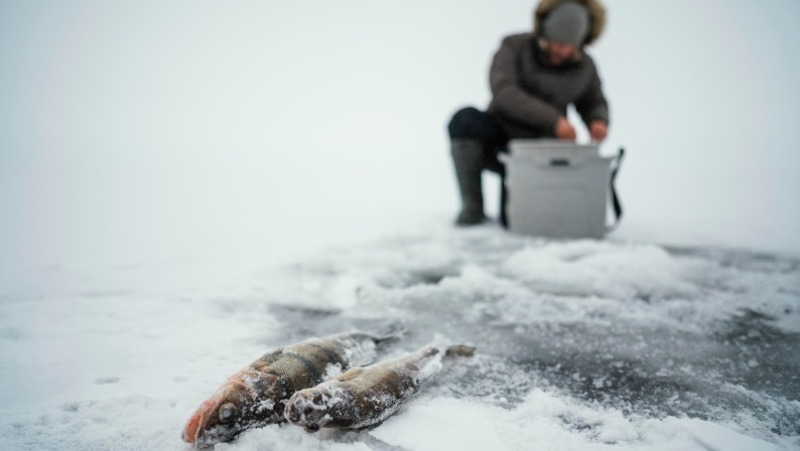 Зимняя рыбалка на Изменчивом — Центр внимания 20 января