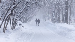Весенняя метель продолжится на Сахалине и Курилах 14 марта