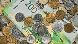 Экономист назвал 3 малоизвестные выплаты для жителей России