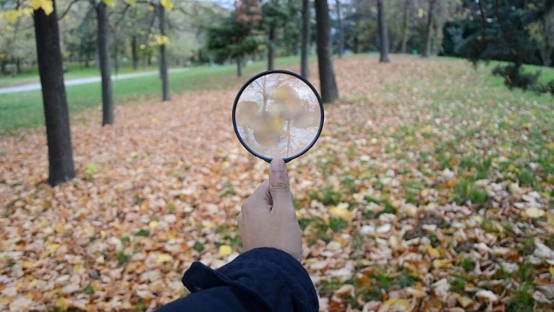 Жительницу Холмска нашли мертвой в лесу 