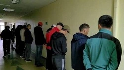 Шестеро жителей Южно-Сахалинска ответят в суде за незаконную регистрацию 3,5 тысячи мигрантов