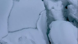 «Удивительные звуки природы»: лед Охотского моря «поговорил» на камеру
