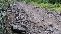 На Сахалине из-за обильных дождей сошел сель         