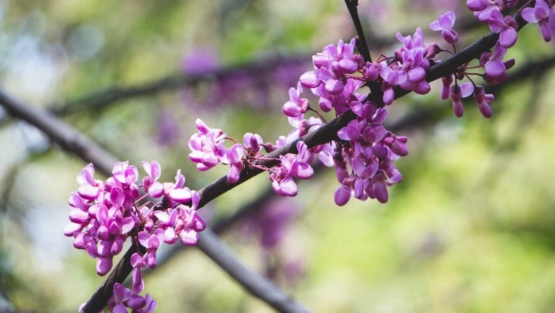 Церковный праздник 25 мая 2023: что нельзя делать в этот день, приметы