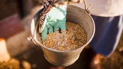 Нарушения нашли в партии мясо-костной муки на Сахалине 