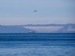 Продажу билетов на октябрь 2022 года открыли на теплоходы Сахалин — Курилы