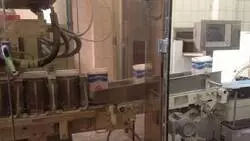 Крупные предприятия Алтайского края посетила островная делегация