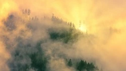 Жару до +30 градусов спрогнозировали синоптики в Южно-Сахалинске 6 августа 