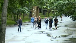 Чем вреден вейп для здоровья человека? Черта 27.07.23